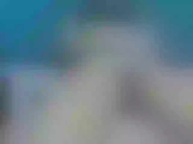 Live sex webcam photo for skinny-brenda #292262774