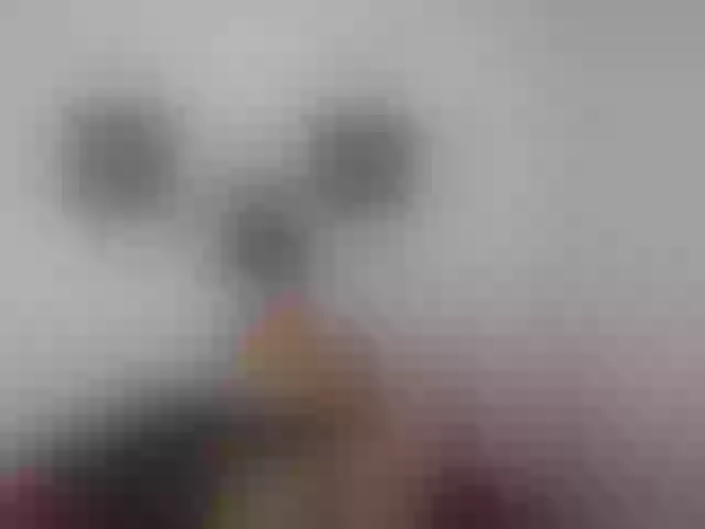 Live sex webcam photo for sky-laini #273564079