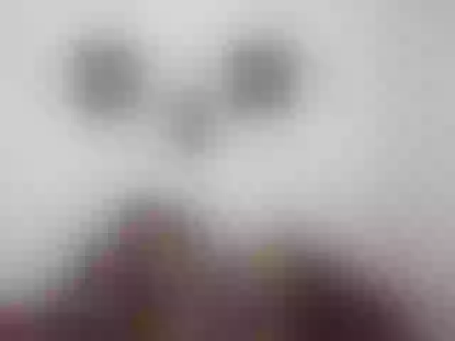 Live sex webcam photo for sky-laini #273612963