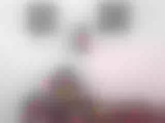 Live sex webcam photo for sky-laini #273679187