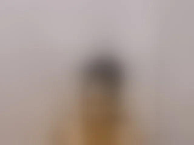 Live sex webcam photo for slim-girl01 #292522300