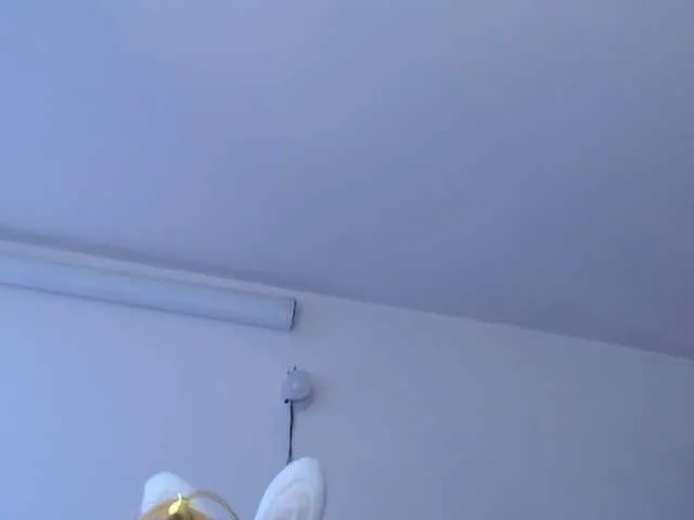 Live sex webcam photo for sloppytitss #276249684
