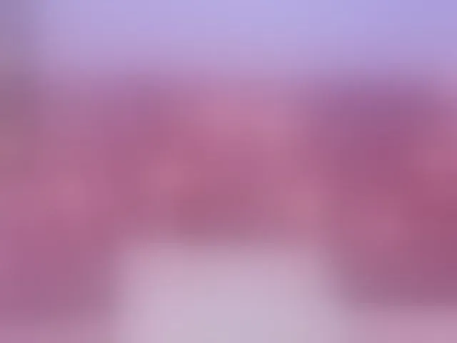 Live sex webcam photo for slutlittlegir #293140227
