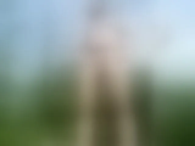 Live sex webcam photo for smotricomnn #278128696