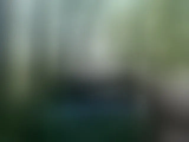 Live sex webcam photo for smotricomnn #290035260