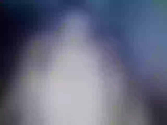 Live sex webcam photo for smuglaea #276978069