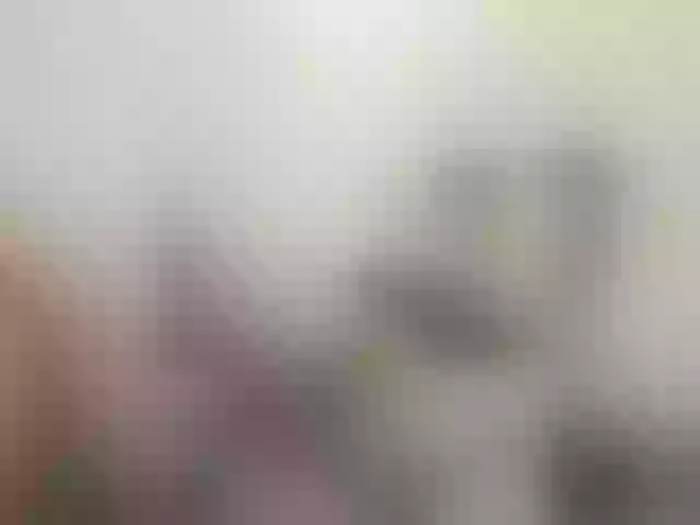 Live sex webcam photo for soffia-mae #290372007