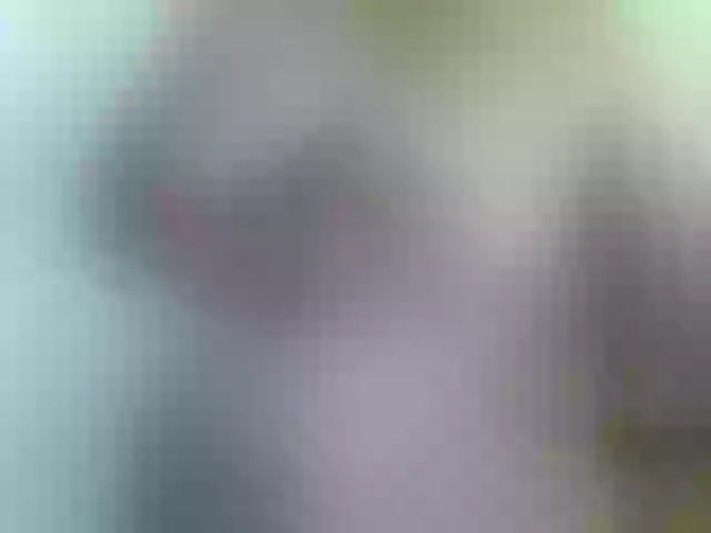 Live sex webcam photo for soffia-mae #290425418