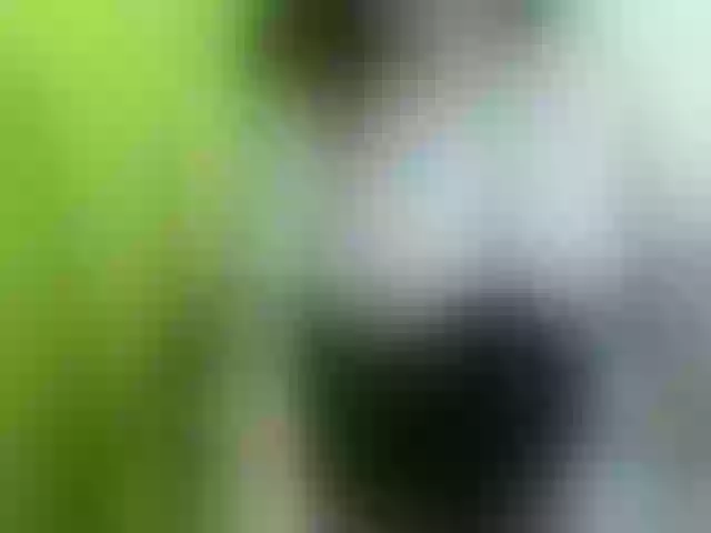 Live sex webcam photo for soffia-mae #290693382