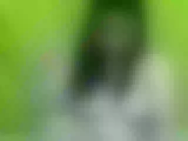 Live sex webcam photo for soffia-mae #290964996