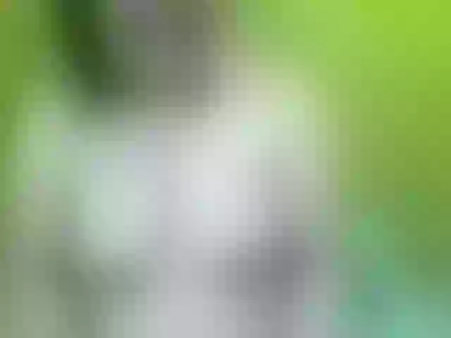 Live sex webcam photo for soffia-mae #290988667