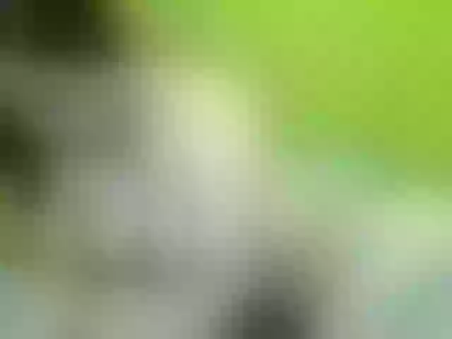 Live sex webcam photo for soffia-mae #291000169