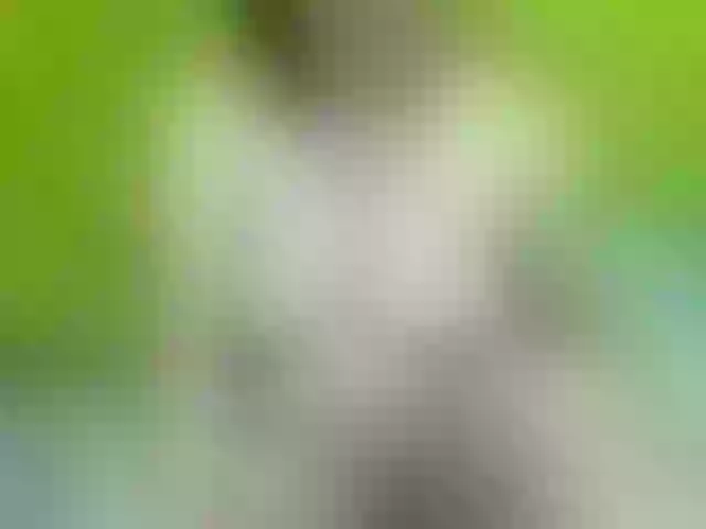 Live sex webcam photo for soffia-mae #291006476