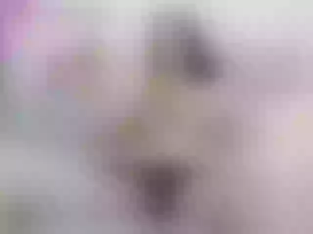 Live sex webcam photo for sofi-edvige #291721217