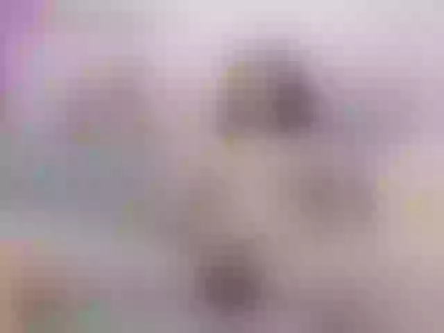 Live sex webcam photo for sofi-edvige #291726888