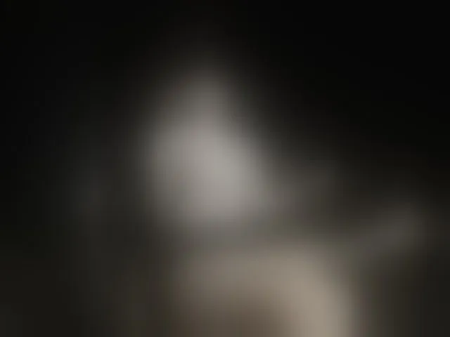 Live sex webcam photo for sofi-edvige #293858073