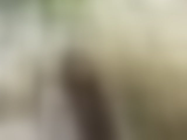 Live sex webcam photo for sofi-edvige #294247452