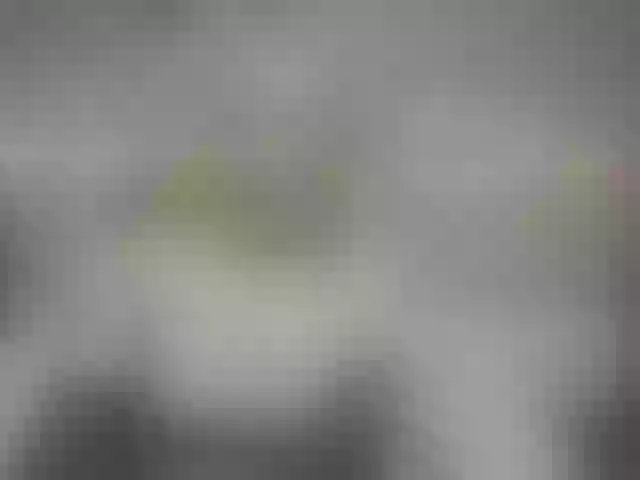 Live sex webcam photo for sofia-joness #275426573