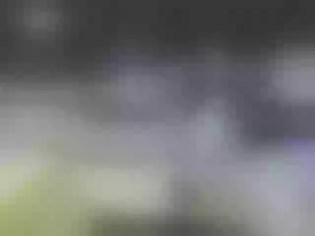 Live sex webcam photo for sofia215 #278192406