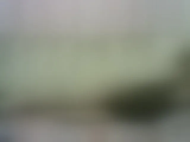 Live sex webcam photo for sofia215 #290843616