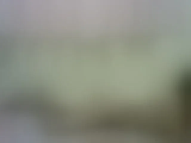 Live sex webcam photo for sofia215 #290850384