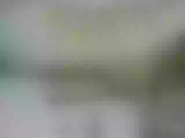 Live sex webcam photo for sofia215 #291021238