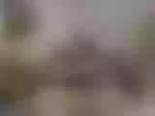 Live sex webcam photo for sofiadior #222229015
