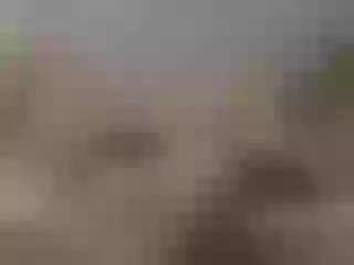 Live sex webcam photo for sofiadior #222447836