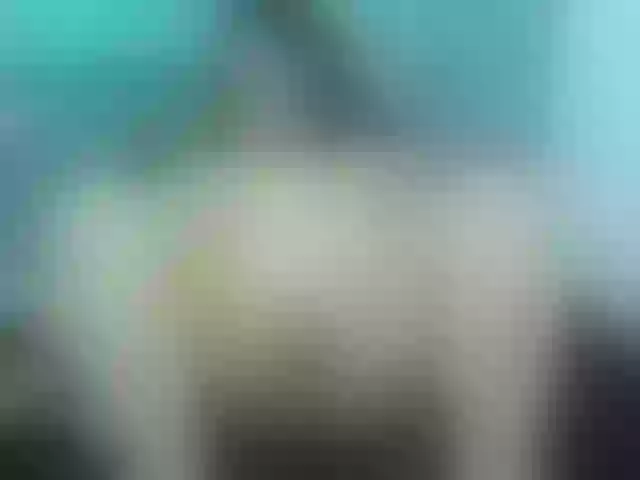 Live sex webcam photo for sofiagutierrez09 #290635981