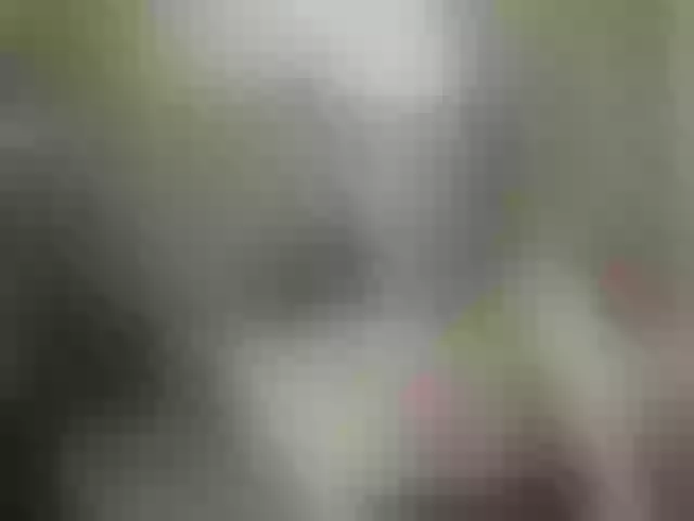 Live sex webcam photo for sofiagutierrez09 #290639673