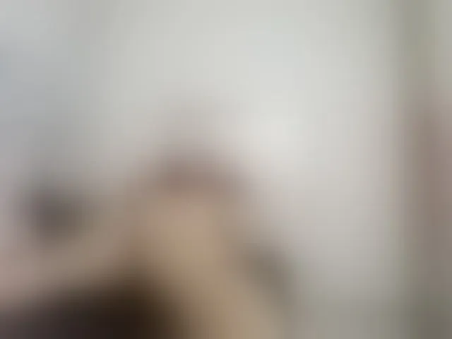 Live sex webcam photo for sofiagutierrez09 #290799633