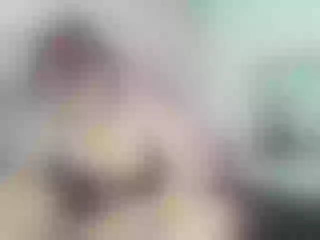 Live sex webcam photo for sofiagutierrez09 #290921293