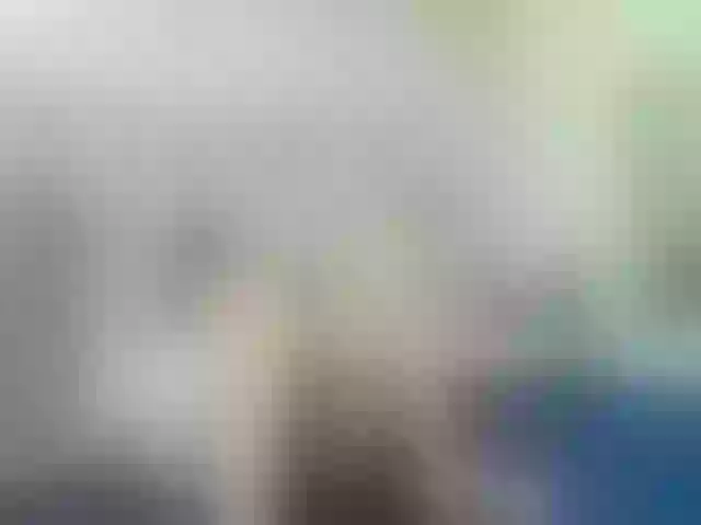Live sex webcam photo for sofiagutierrez09 #290938747