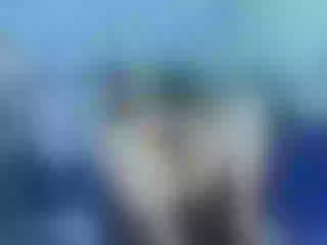 Live sex webcam photo for sofiagutierrez09 #291054871
