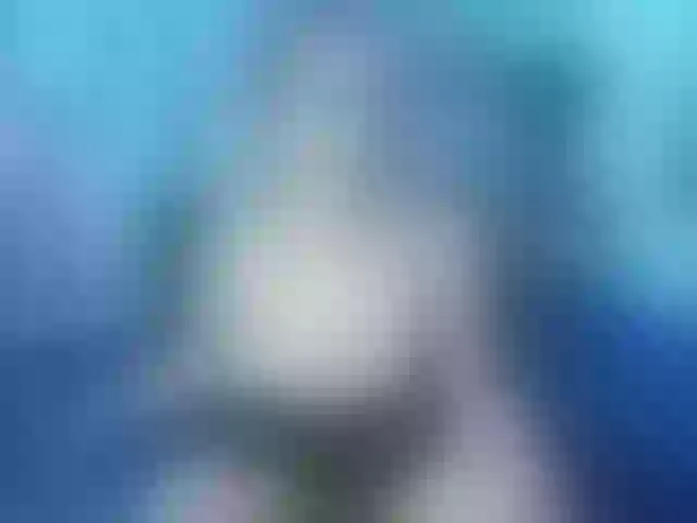 Live sex webcam photo for sofiagutierrez09 #291066647