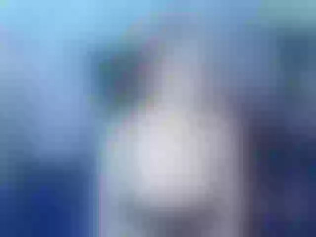Live sex webcam photo for sofiagutierrez09 #291075447