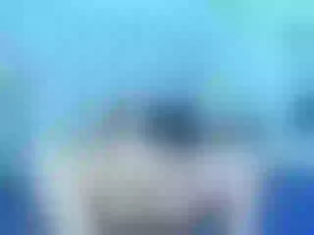 Live sex webcam photo for sofiagutierrez09 #291172349
