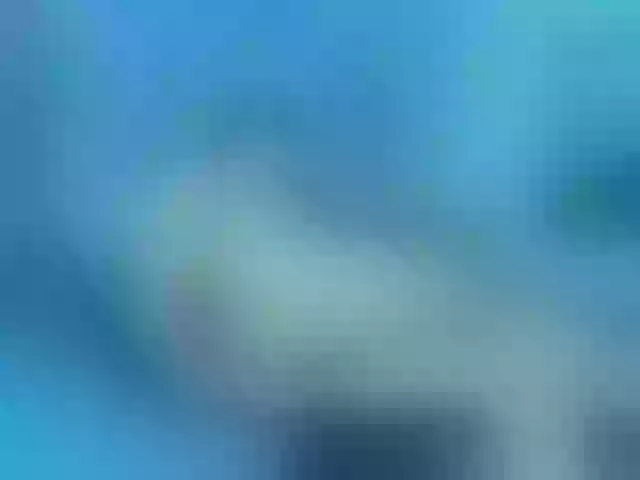 Live sex webcam photo for sofiagutierrez09 #291607435