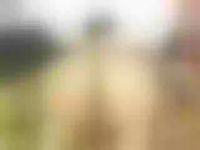 Live sex webcam photo for sofie-storm #291138209