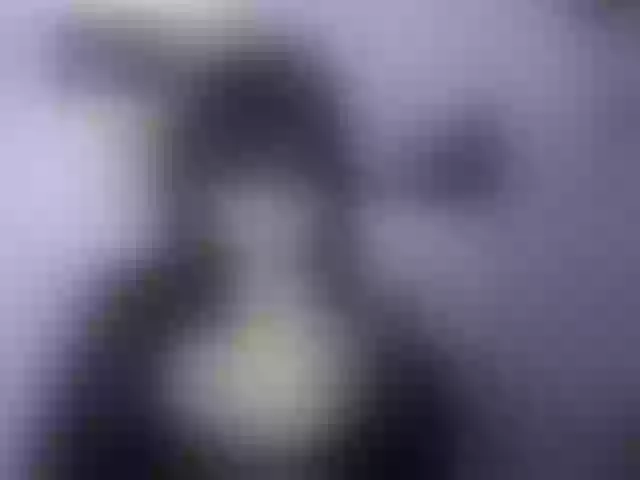 Live sex webcam photo for soft-denise #292037138