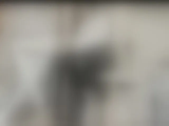 Live sex webcam photo for solsmith #293829102