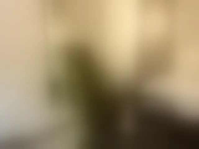 Live sex webcam photo for sophia-martinezz #292750509