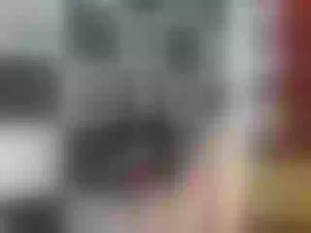 Live sex webcam photo for sophiacat4 #271902874