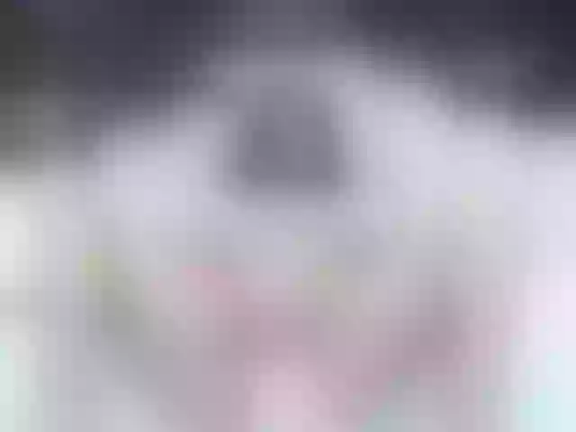 Live sex webcam photo for sophimorris #277959410