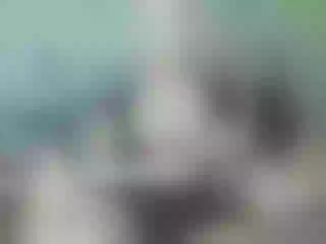 Live sex webcam photo for spectrce #277160879