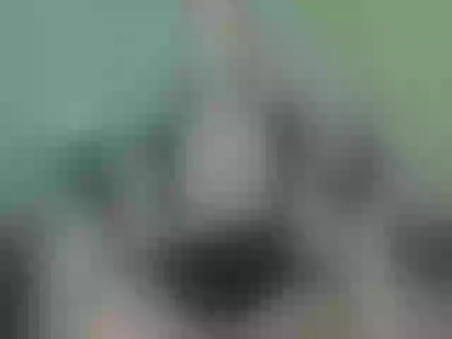 Live sex webcam photo for spectrce #277620579