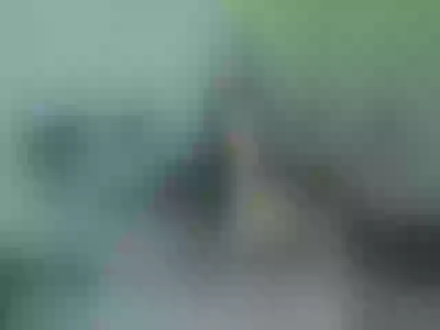 Live sex webcam photo for spectrce #277953853
