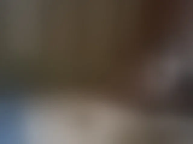 Live sex webcam photo for spidermen777 #276078176