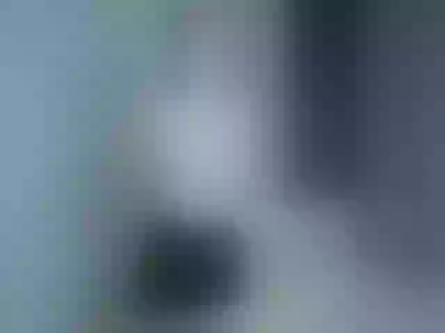 Live sex webcam photo for spooky-tyan #291728575
