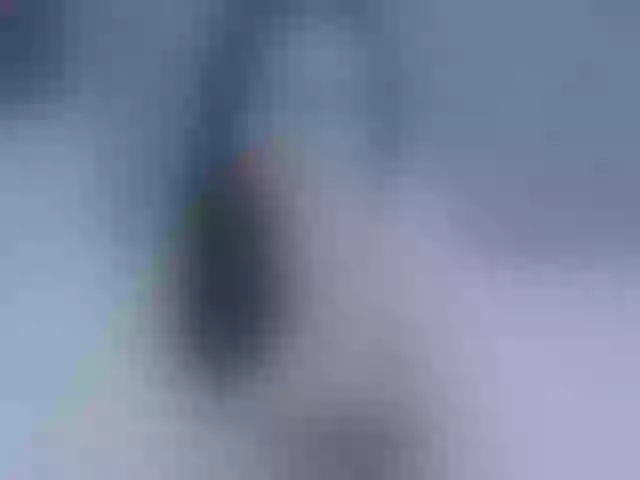 Live sex webcam photo for spooky-tyan #291747029